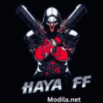 Haya FF PK Injector