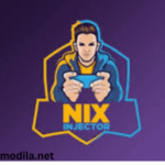 Nix injector